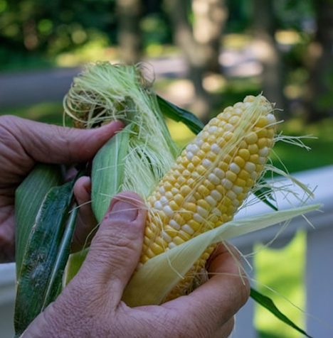Bulk hominy supply and packaging from Kondos